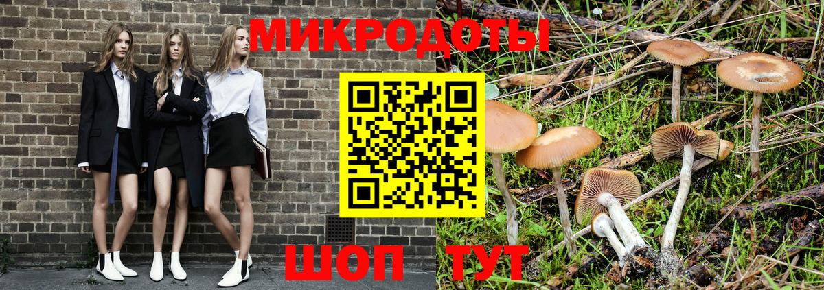 Псилоцибиновые грибы мухоморы Черкесск